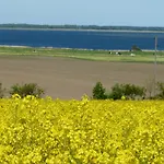 Seeblick فندق