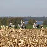 Seeblick Barhoft