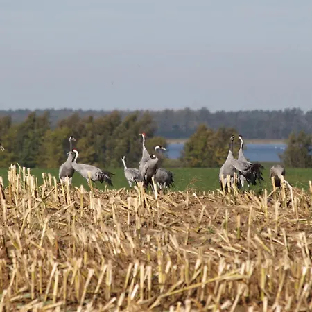 Hotel Seeblick Barhoft