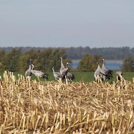 Seeblick Barhöft