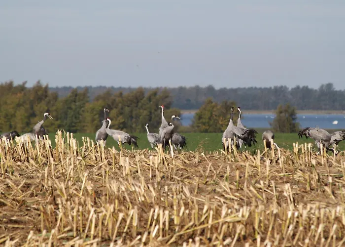 Hotel Seeblick Barhoft